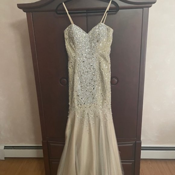 Terani Couture Dresses & Skirts - Prom/Formal Dress